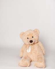 toy teddy isolated on white background
