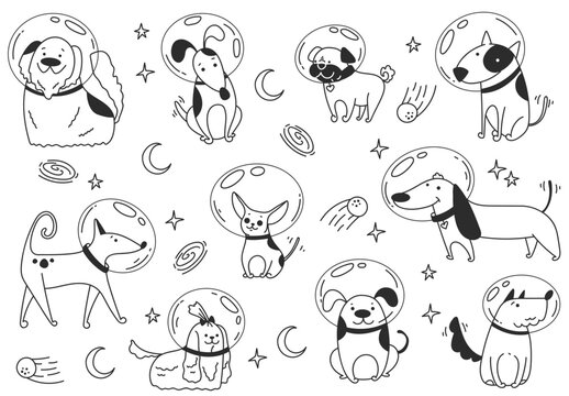 Space dog puppy astronaut cosmonaut universe travel line art doodle style abstract concept. Vector graphic design element illustration