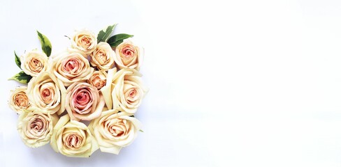 Cream roses on a white background. Delicate floral arrangement. Background for a greeting card.