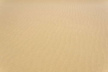 natural background, sandy desert surface with wind ripples