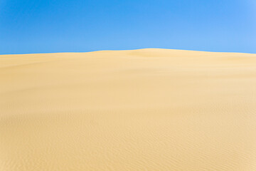 Fototapeta na wymiar desert landscape, sand dunes under blue sky
