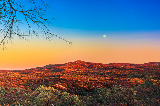 p&ocirc;r-do-sol no sert&atilde;o