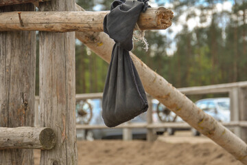 a walnuts hang in a green net bag are drying on windy place