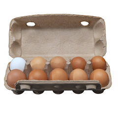 Chicken eggs in eco-friendly packaging made of pressed paper from recycled paper. Brown and white eggs isolated on white transparent background