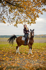 beautiful slim smiling brunette woman riding horse in autumn field
