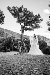 A black bride in a white dress with a flowing veil walks through the old forest, black and white version