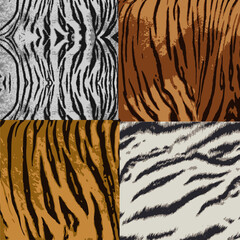 Tiger print collection.Tiger skin texture set