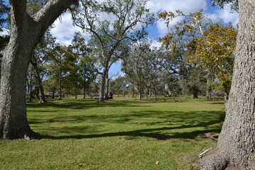 Fototapeta na wymiar Autumn view of the land estate in West Columbia, Texas