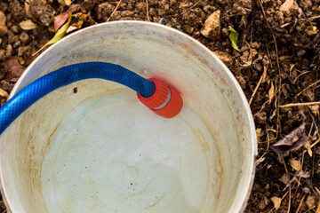 A watering hose filling a white bucket of water in a garden  © Μιχάλης Ταμπακάκης