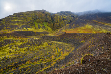 Fototapeta premium Rauðfeldsgjá Gorge (Snaefellsnes Peninsula, Iceland)