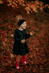 Mała dziewczynka bawi się w jesiennych liściach w lesie - obrazy, fototapety, plakaty