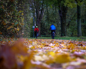 Fahrradfahrer im Herbst