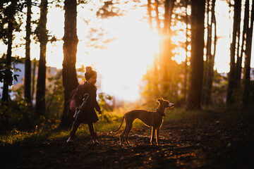 Mała dziewczynka z psem na spacerze w lesie jesienią - obrazy, fototapety, plakaty