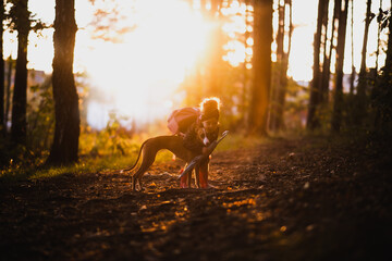 Małe dziecko z psem na spacerze w lesie - obrazy, fototapety, plakaty