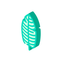 stelizia tropical leaf isometric icon vector. stelizia tropical leaf sign. isolated symbol illustration