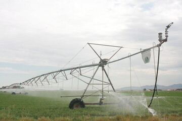 irrigation sprinkler irrigation