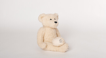 Teddy bear
