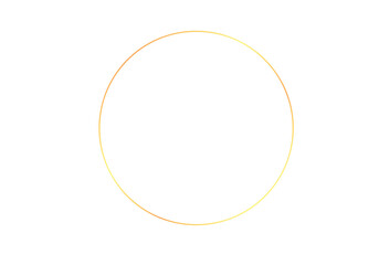 Flower foliage floral circle overlays, golden ring, backdrop overlays, maternity rings, art portrait photo, Digital Background, png