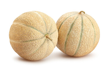 cantaloupe melon path isolated on white
