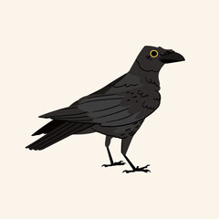 Black crow vector isolated on white background. Halloween witch character flat illustration