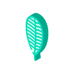 plumeria tropical leaf isometric icon vector. plumeria tropical leaf sign. isolated symbol illustration