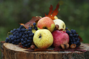 Ripe blue grapes and ripe green apples are on an oak log.