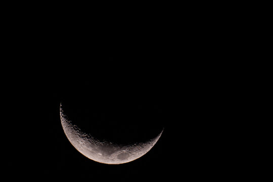 lua nova