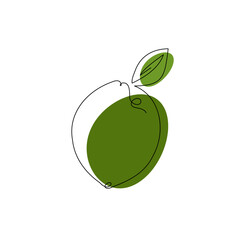 Lime fruit in continuous line drawing style. Black line sketch on a white background. Vector illustration