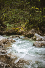 Flowing stream in the magic forest at the Hintersee in Ramsau. Berchtesgadener Land National Park, Germany