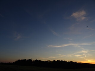 sunset over the field