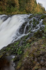 Stormy stream of Kivach waterfall in autumn Karelia