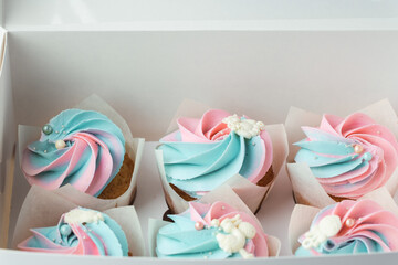 Set of vanilla cupcakes with whipped pink and blue cream cheese tops in the white gift box. - obrazy, fototapety, plakaty