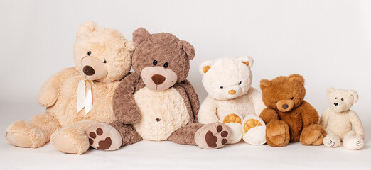 
Teddyb&auml;ren auf hellem Hintergrund