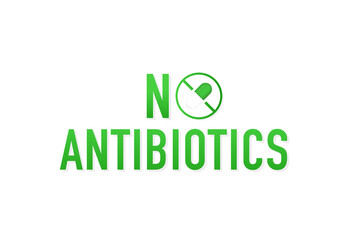 No antibiotics on a white background. Vector illustration