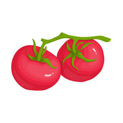 Juicy ripe vegetable tomato. Vector graphics.