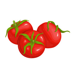 Juicy ripe vegetable tomato. Vector graphics.