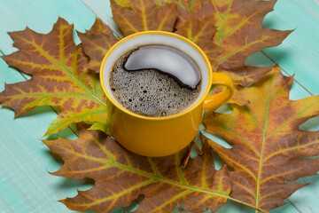 Yellow cup of coffee on yellow-red oak leaves, on turquoise boards