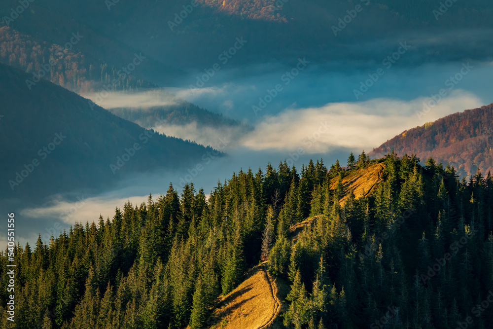 Canvas Prints Mountain top with misty valley in the morning.