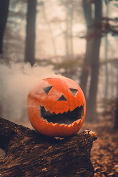 Halloween jack o lantern with smoke coming out in the forest