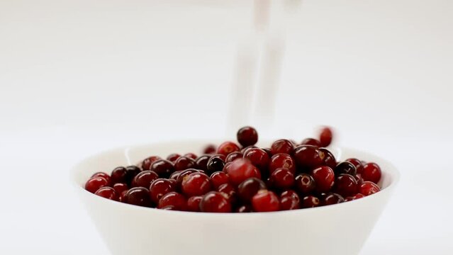 Red ripe cranberries is poured into white plate with white background