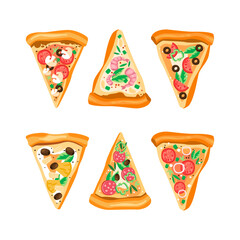 Slices of Appetizing Pizza with Different Ingredients Above View Vector Set