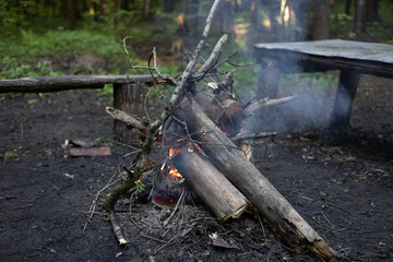 Fire in forest. Large bonfire of logs. Smoke from flames. Combustion process.