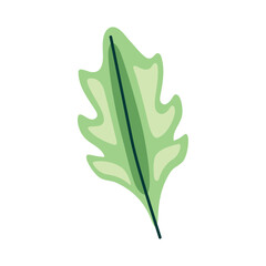 leaf plant foliage