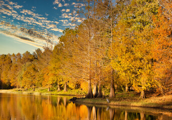 Landscape from the perspective of a recluse.