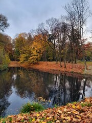 Fototapeta na wymiar river in the autumn park