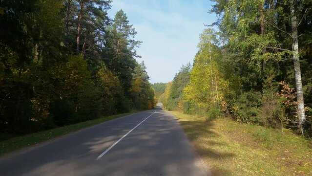 Road view on a summer day. Highways and cars, roadside and white road line markings.