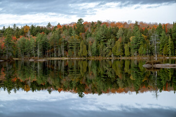 An autumn colored forest reflects on a calm lake. Pincher Lake, Algonquin Provincial Park, Ontario, Canada.