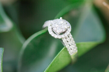 wedding ring on leaf