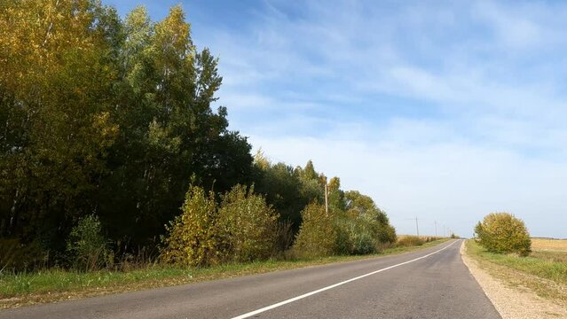 Road view on a summer day. Highways and cars, roadside and white road line markings.
