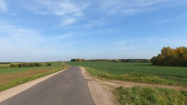 Road view on a summer day. Highways and cars, roadside and white road line markings.